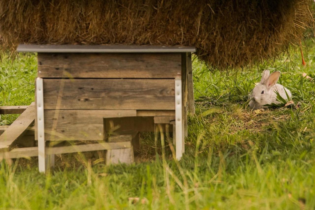 Usategieta Oiartzun Exteriér fotografie